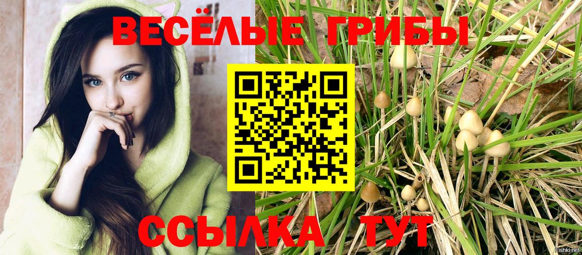 Галлюциногенные грибы ЛСД Ростов Великий